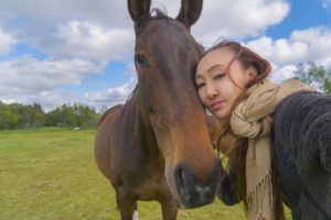 馬への愛情と配慮